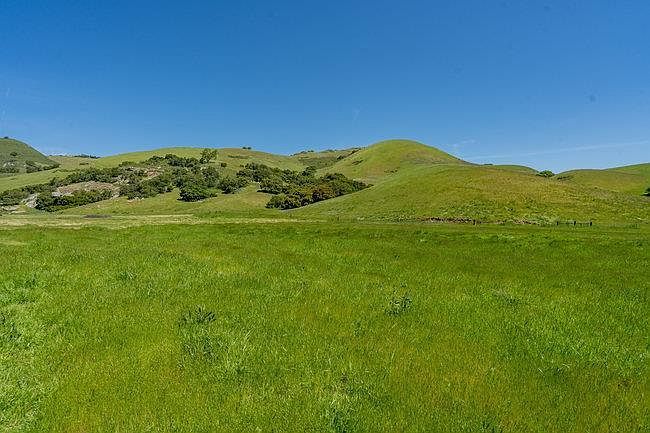 100 Old Stage Rd San Juan Bautista, CA 95045 - Thumbnail 5