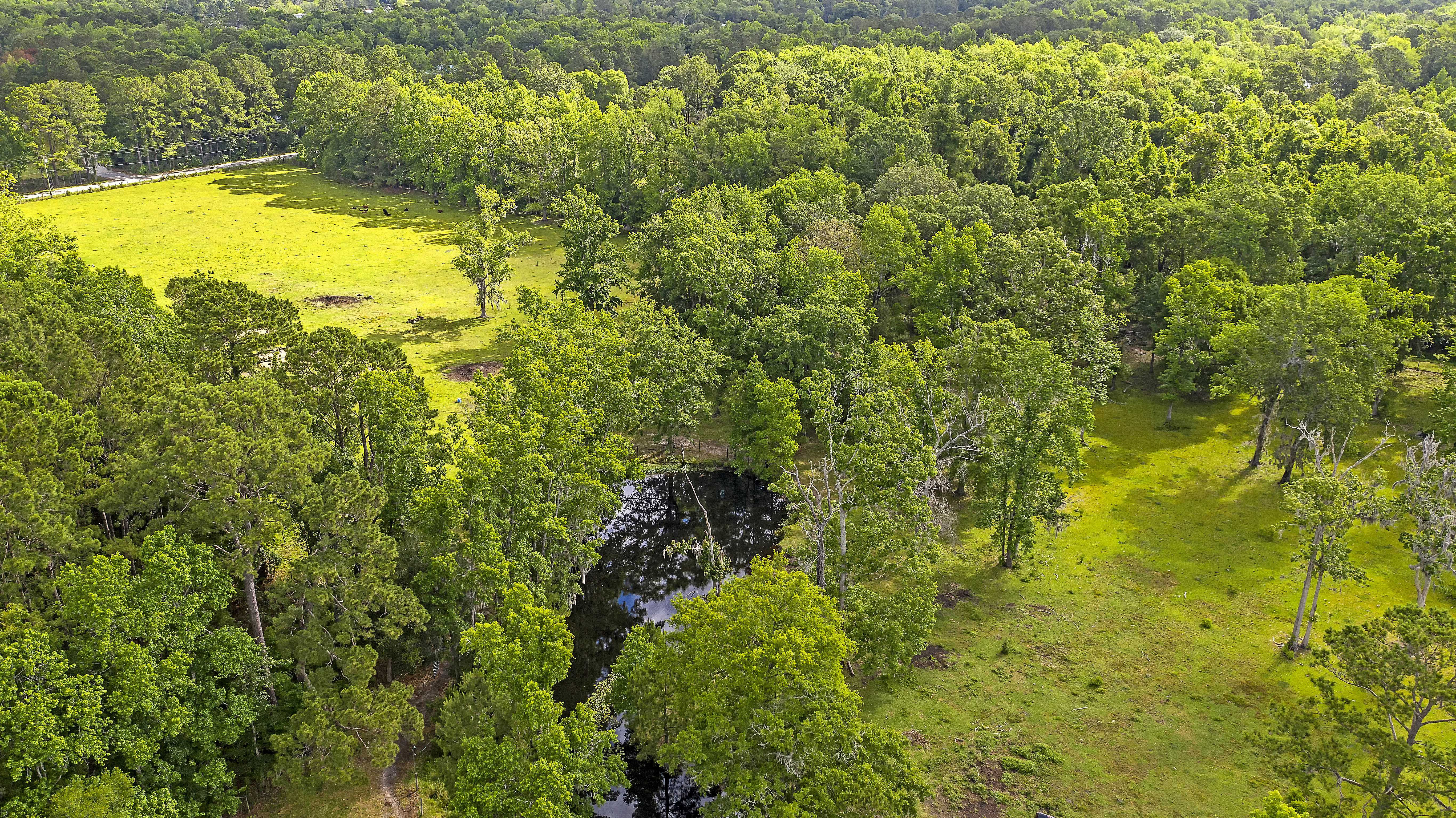 3691 Humbert Road, Johns Island, SC, USA, 29455 - Thumbnail 5