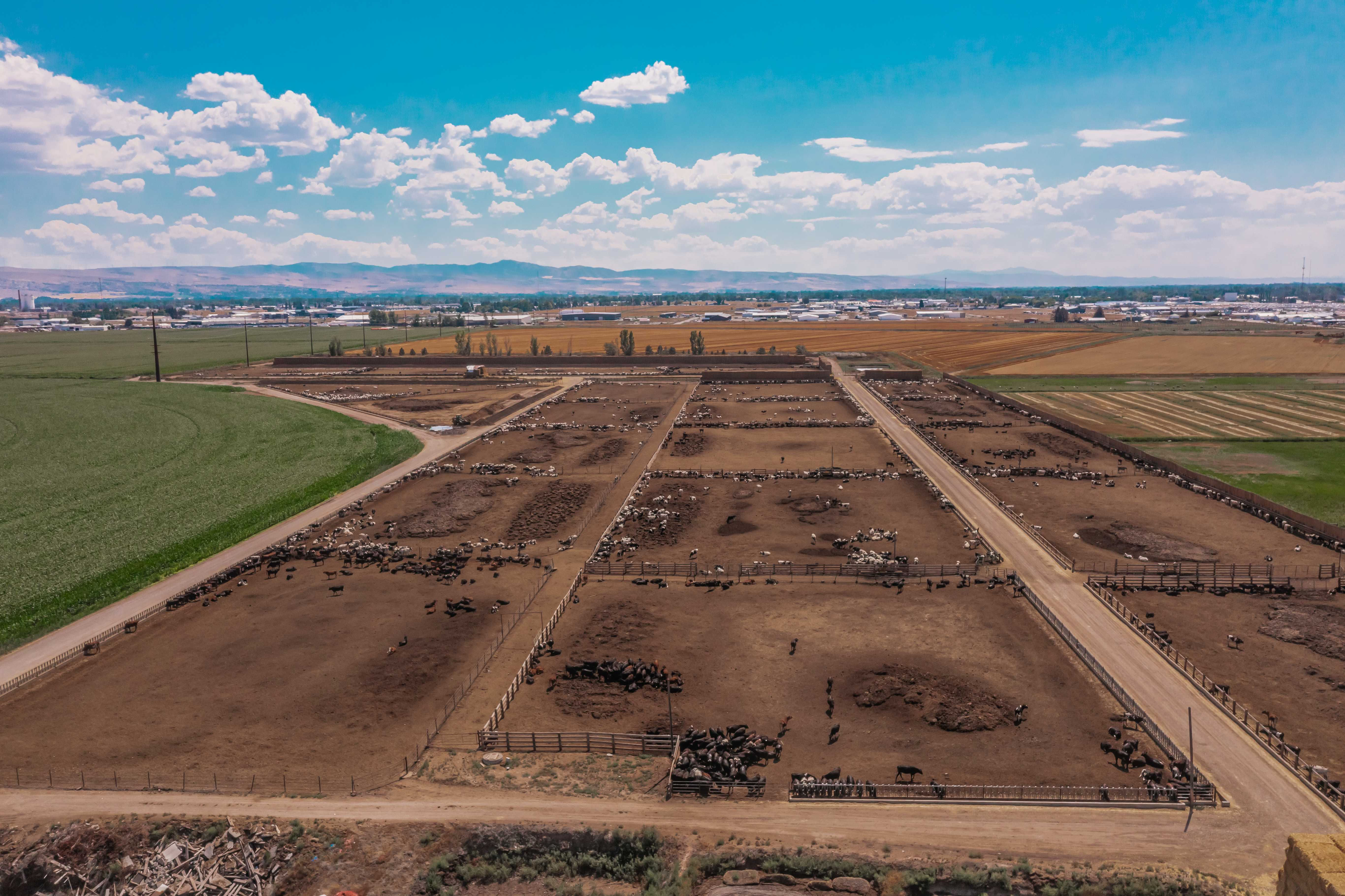 1810 East 49th North, Idaho Falls, ID, USA - Thumbnail 5