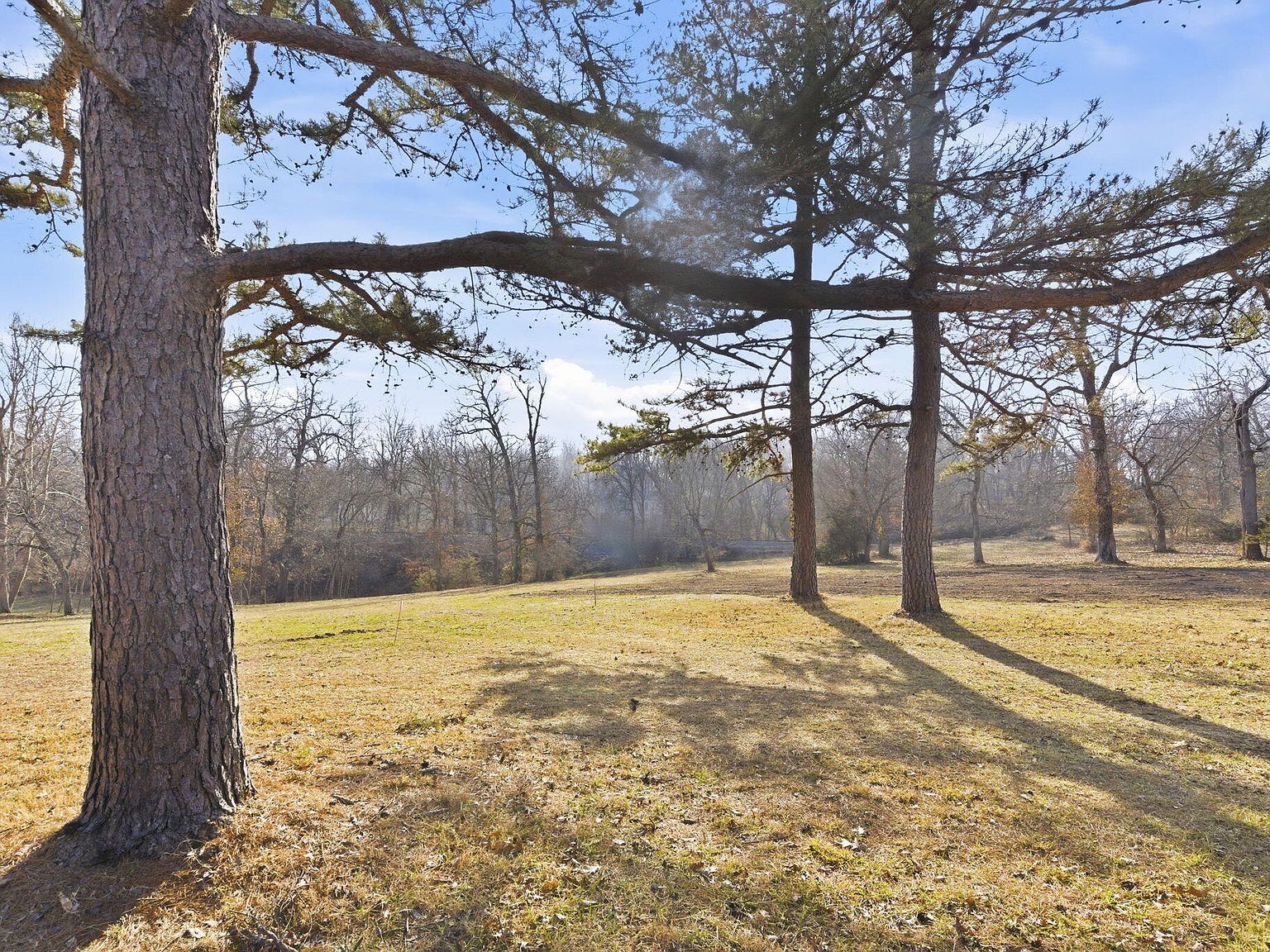 4308 E Catalpa St Springfield, MO 65809 - Thumbnail 5