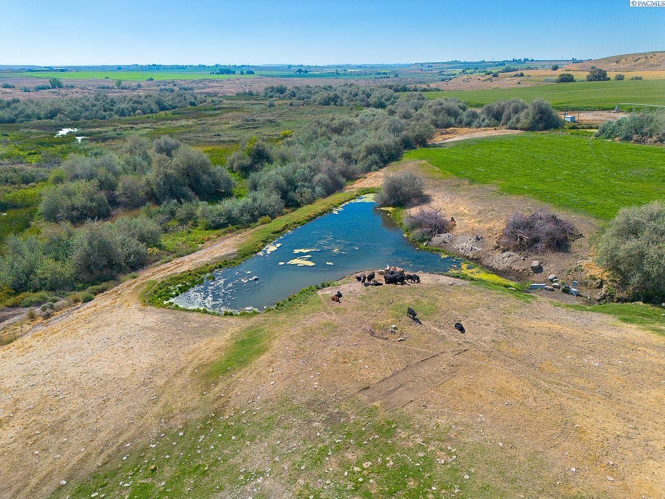 1461 Sheffield Rd Mesa, WA 99343 - Thumbnail 5