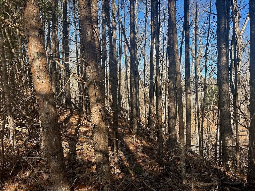 922 Whistler Ln LOT 67 Canton, GA 30114 - Thumbnail 5