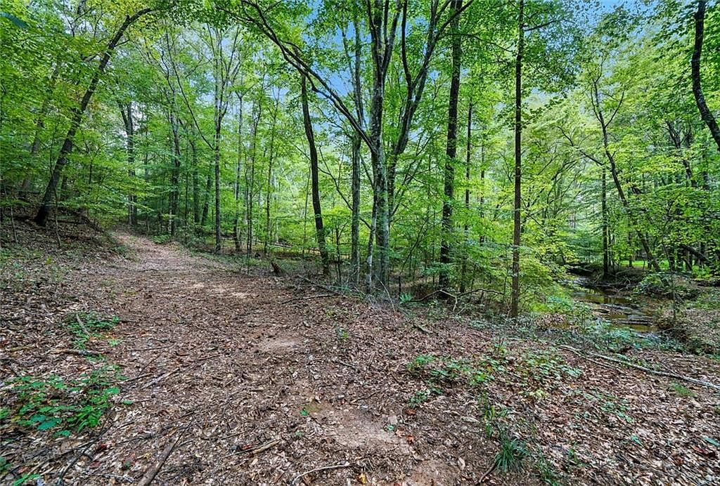 857 Jack Page Dr Canton, GA 30115 - Thumbnail 5