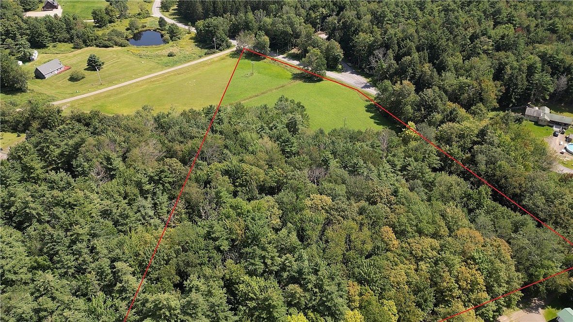 LOT 10 Bull Hill Rd Lot 10 Gilboa, NY 12076 - Thumbnail 5