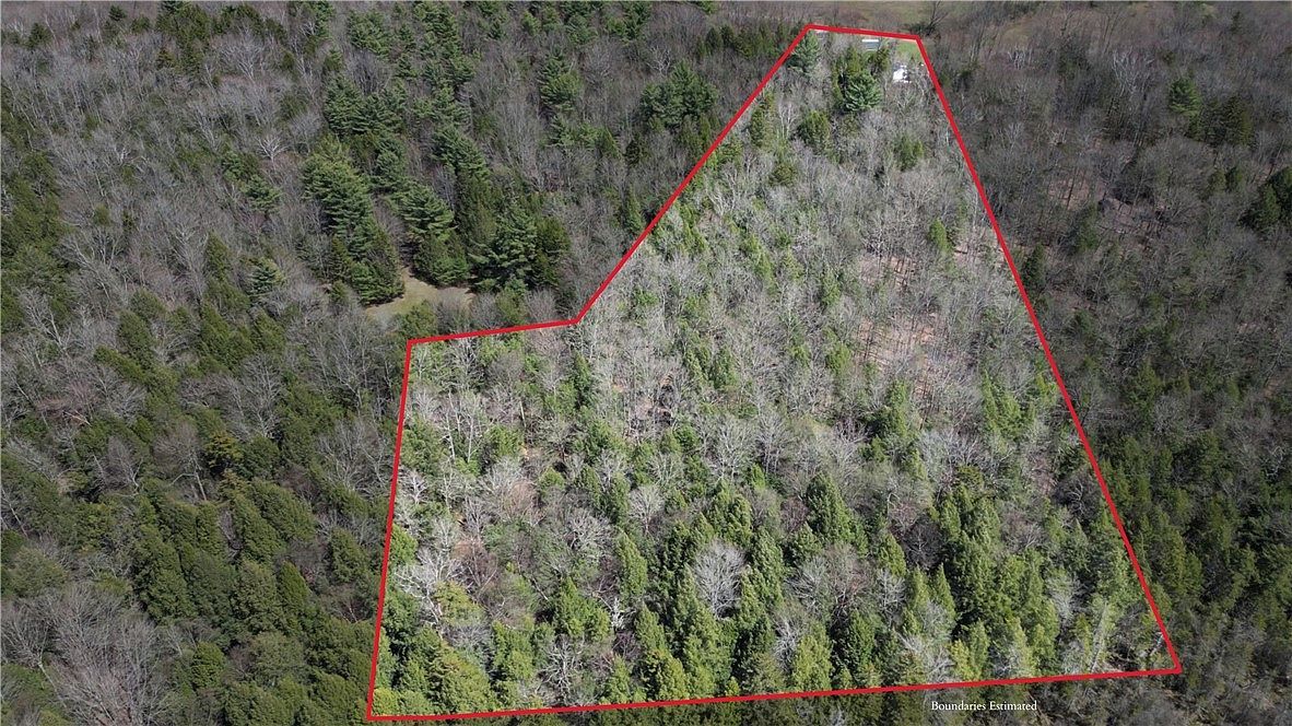 245 Woodchuck Run Lot 9 Jefferson, NY 12093 - Thumbnail 5