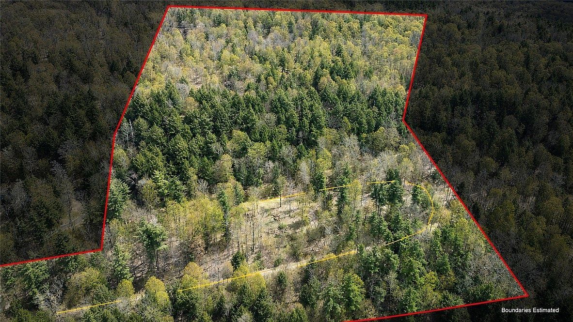 LOT 12.32 County Highway 31 Lot 12 Cooperstown, NY 13326 - Thumbnail 5