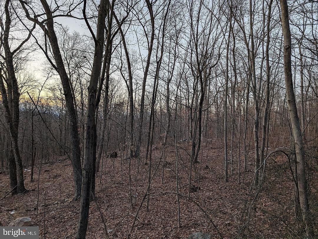 11430 National Pike, Clear Spring, MD, 21722 - Thumbnail 5