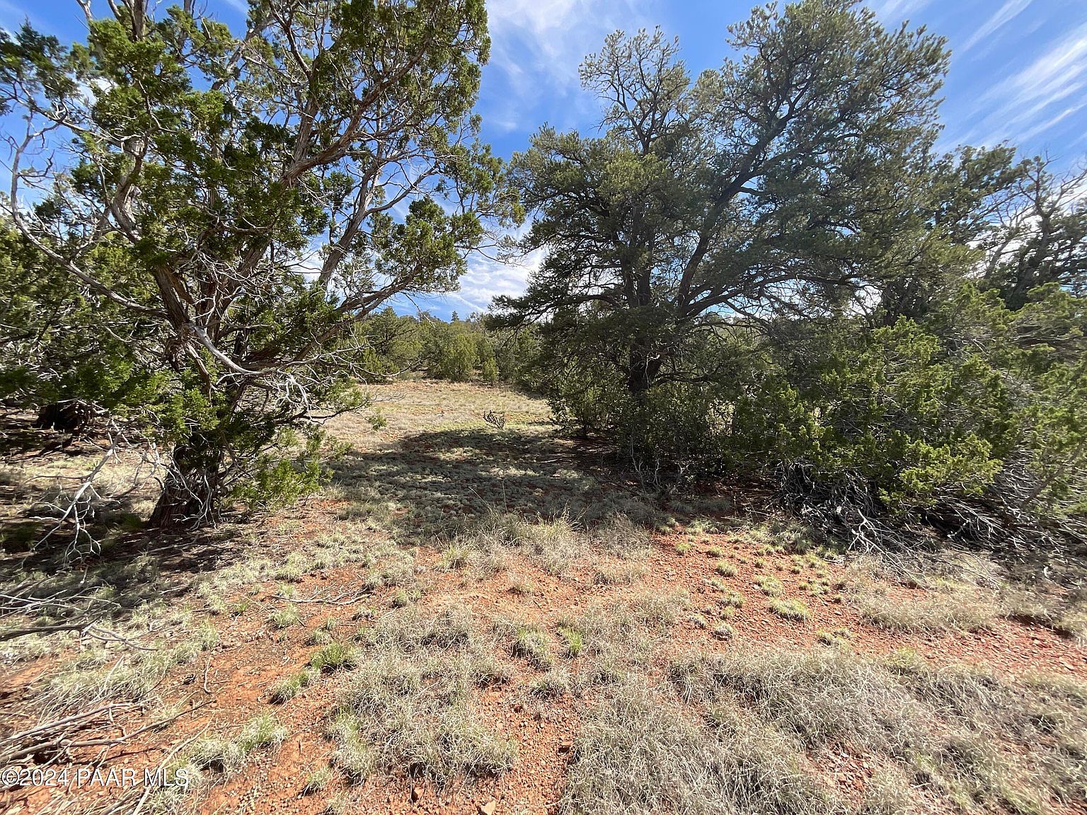 LOT 162 Forest Ln Seligman, AZ 86337 - Thumbnail 5