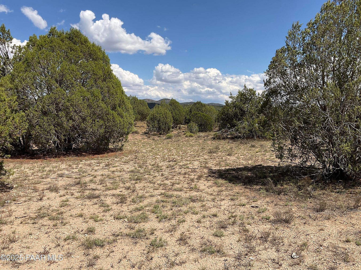 40670 W Scout Trl Seligman, AZ 86337 - Thumbnail 5