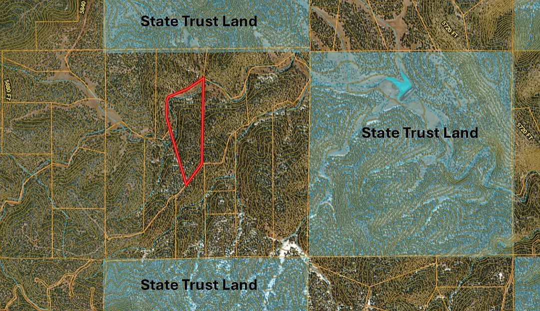 99 Shadow Rock Rnch Seligman, AZ 86337 - Thumbnail 5