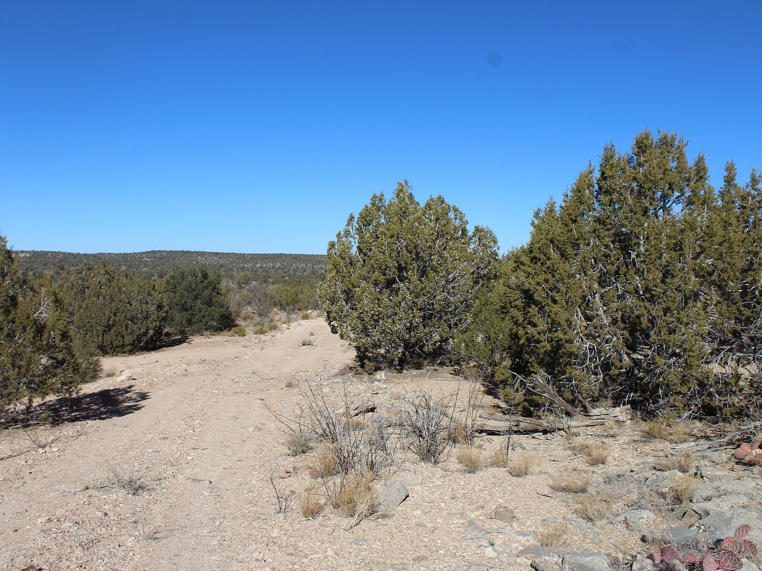 0 Greenview Ranches Seligman, AZ 86337 - Thumbnail 5