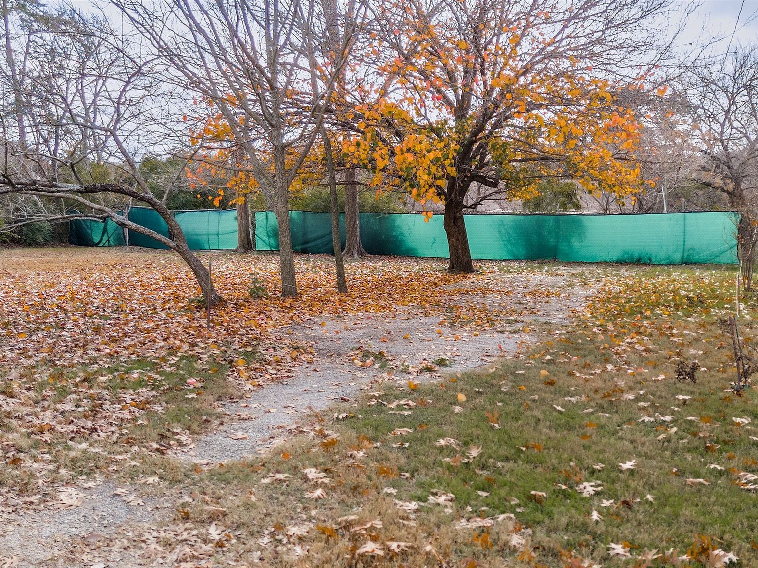 3014 Gladiolus Ln Dallas, TX 75233 - Thumbnail 5