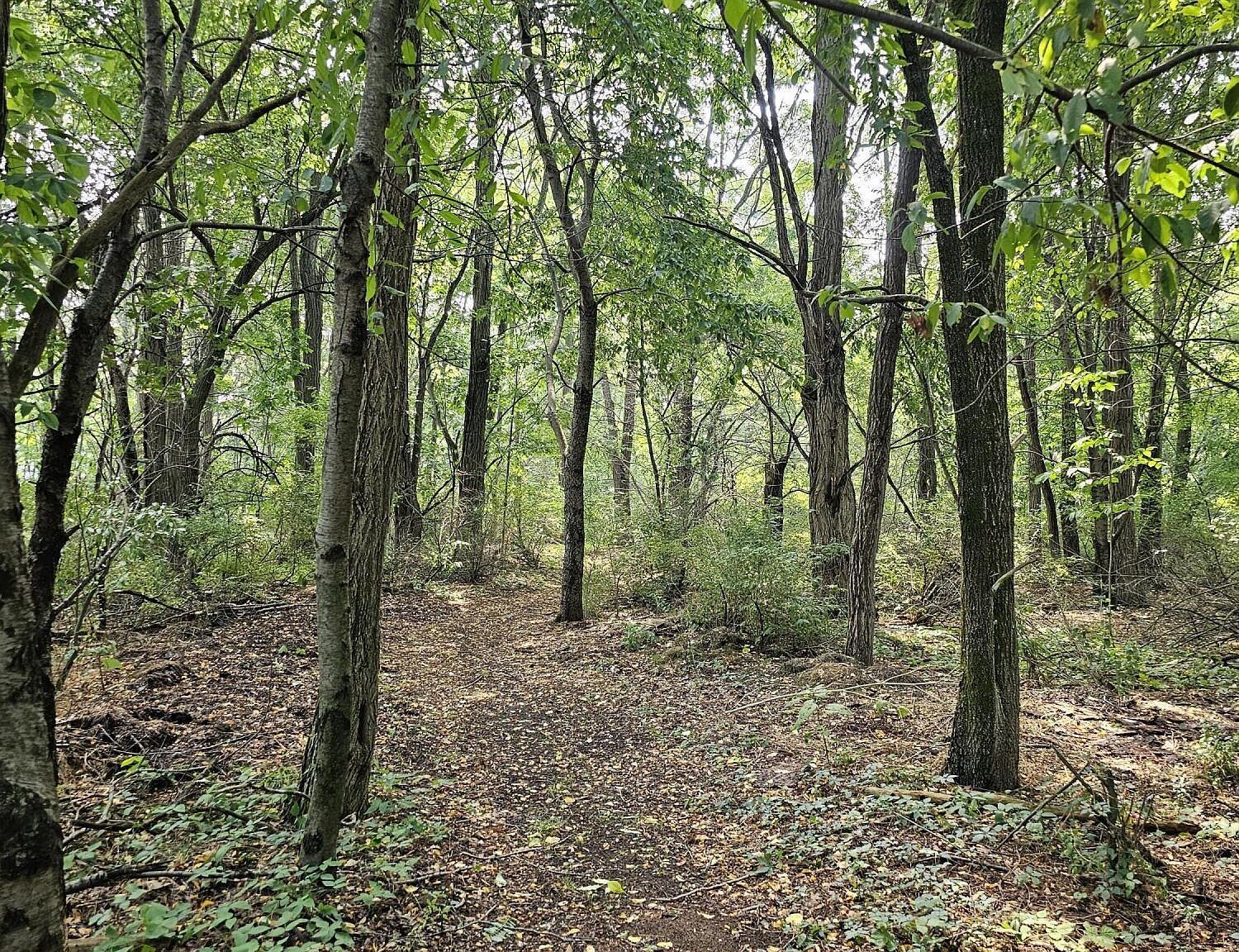 0 Short St Stevensville, MI 49127 - Thumbnail 5