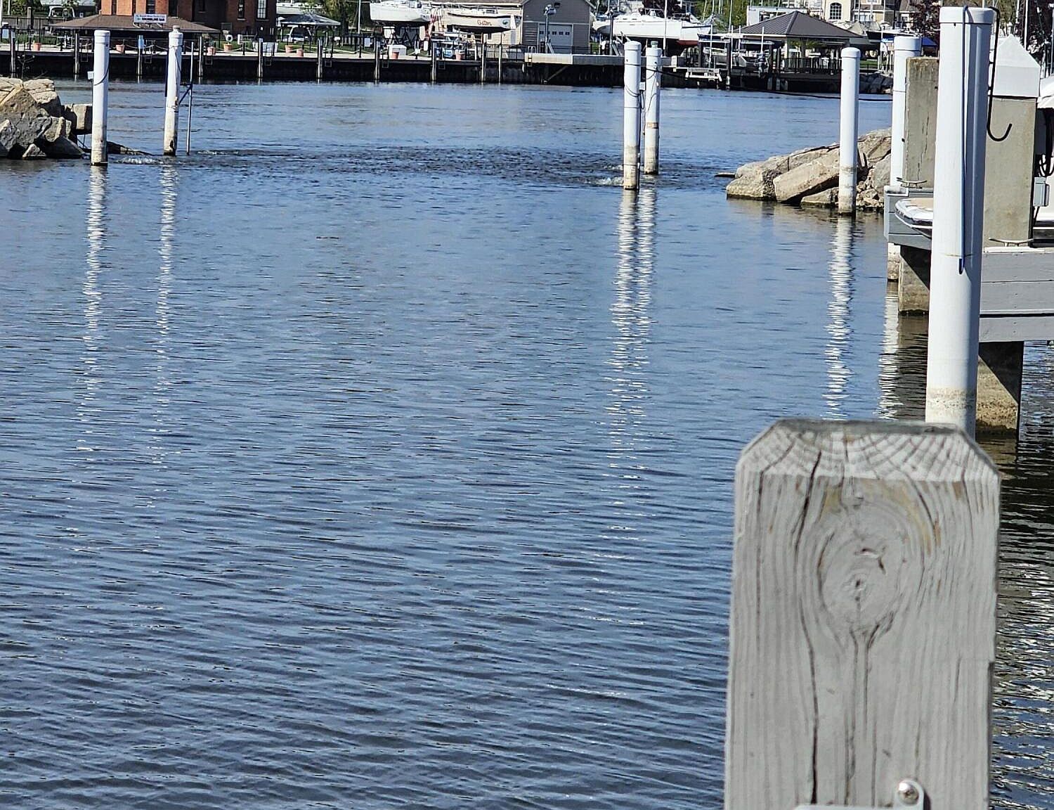 312 Water St #14 Saint Joseph, MI 49085 - Thumbnail 5