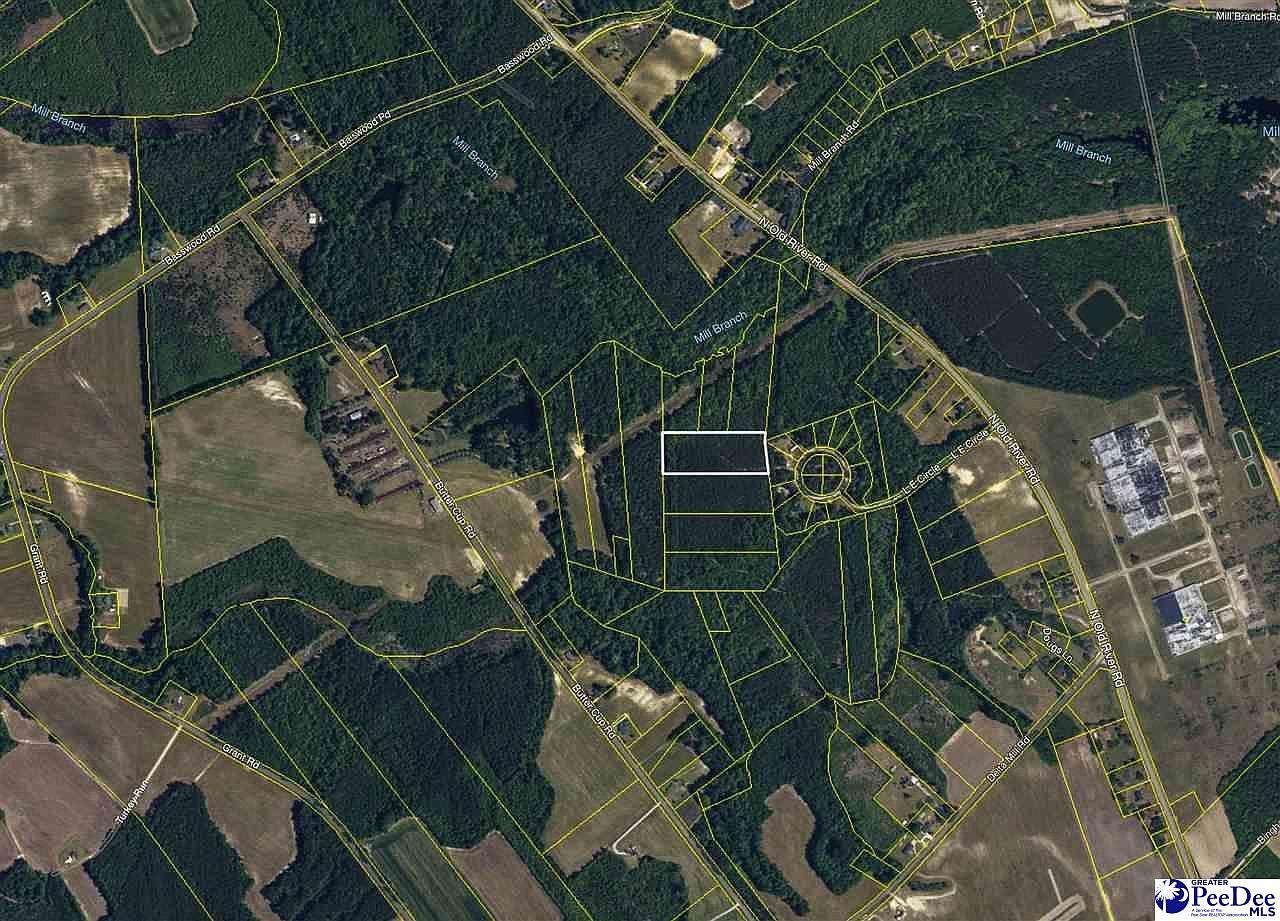 4.87 Acres Tract #B2 Pamplico, SC 29583 - Thumbnail 5