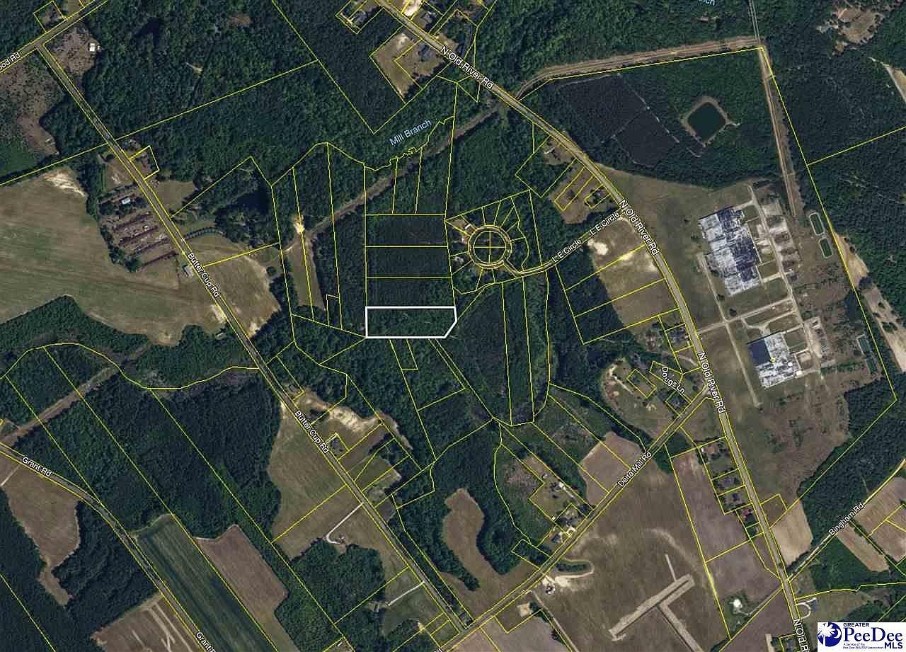 4.87 Acres Tract #E2 Pamplico, SC 29583 - Thumbnail 5