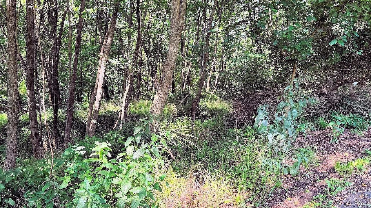 58 Redhawk Trl #58 Baraboo, WI 53913 - Thumbnail 5