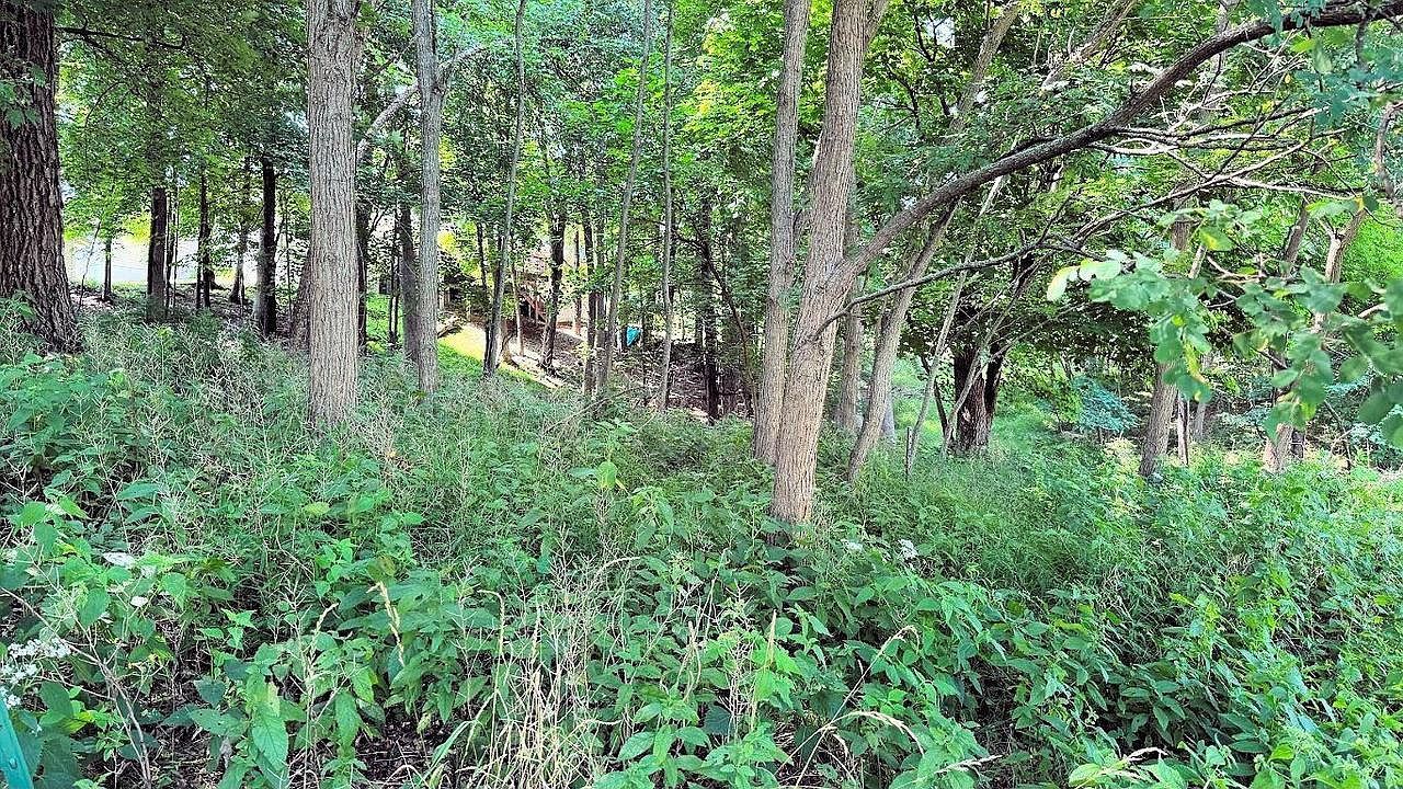 77 Morningside Rd #77 Baraboo, WI 53913 - Thumbnail 5