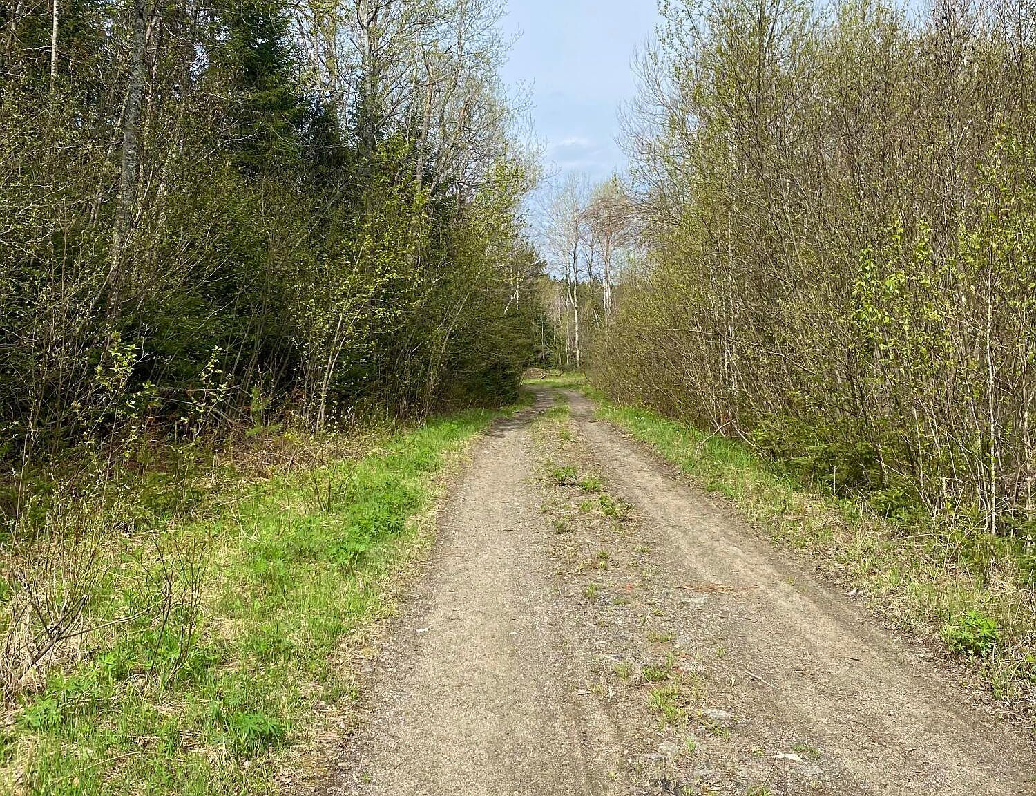 4525 Cascade Rd Lake Placid, NY 12946 - Thumbnail 5