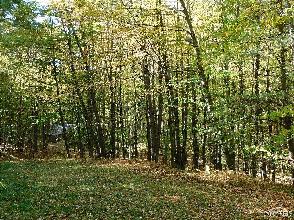8005 Johnson Hill Rd LOT 2 Bolivar, NY 14715 - Thumbnail 5