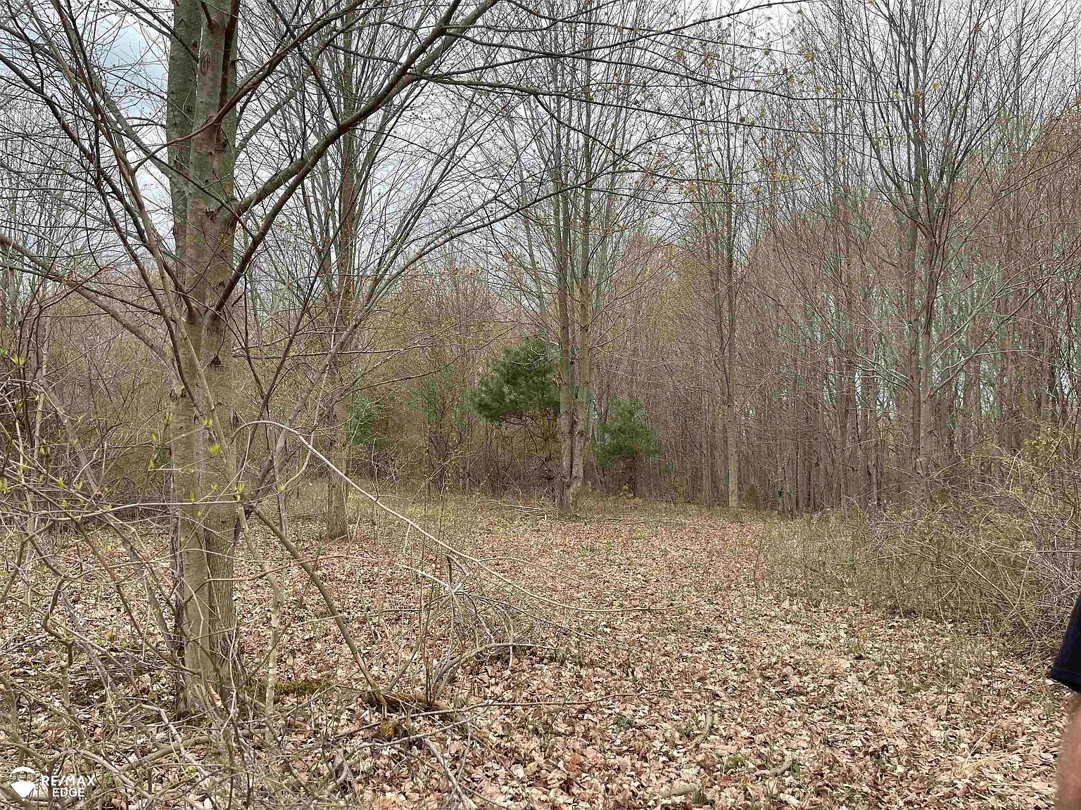 0 N Linden Rd Clio, MI 48420 - Thumbnail 5