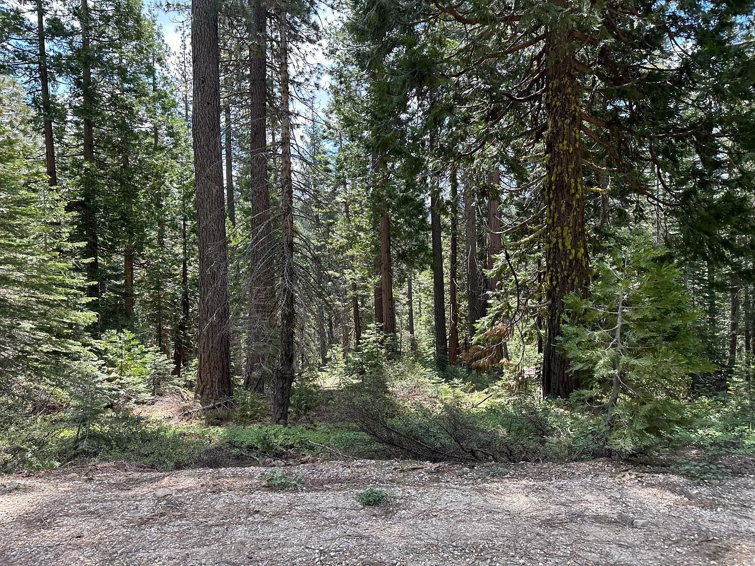 32776 Gaston Rd Nevada City, CA 95959 - Thumbnail 5