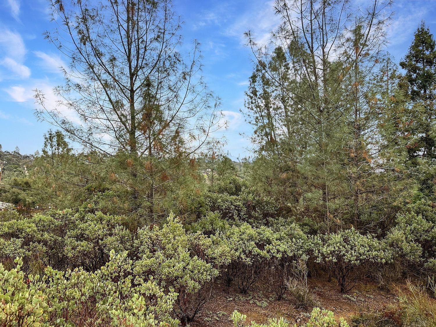 1111 Woodside Way Shingle Springs, CA 95682 - Thumbnail 5