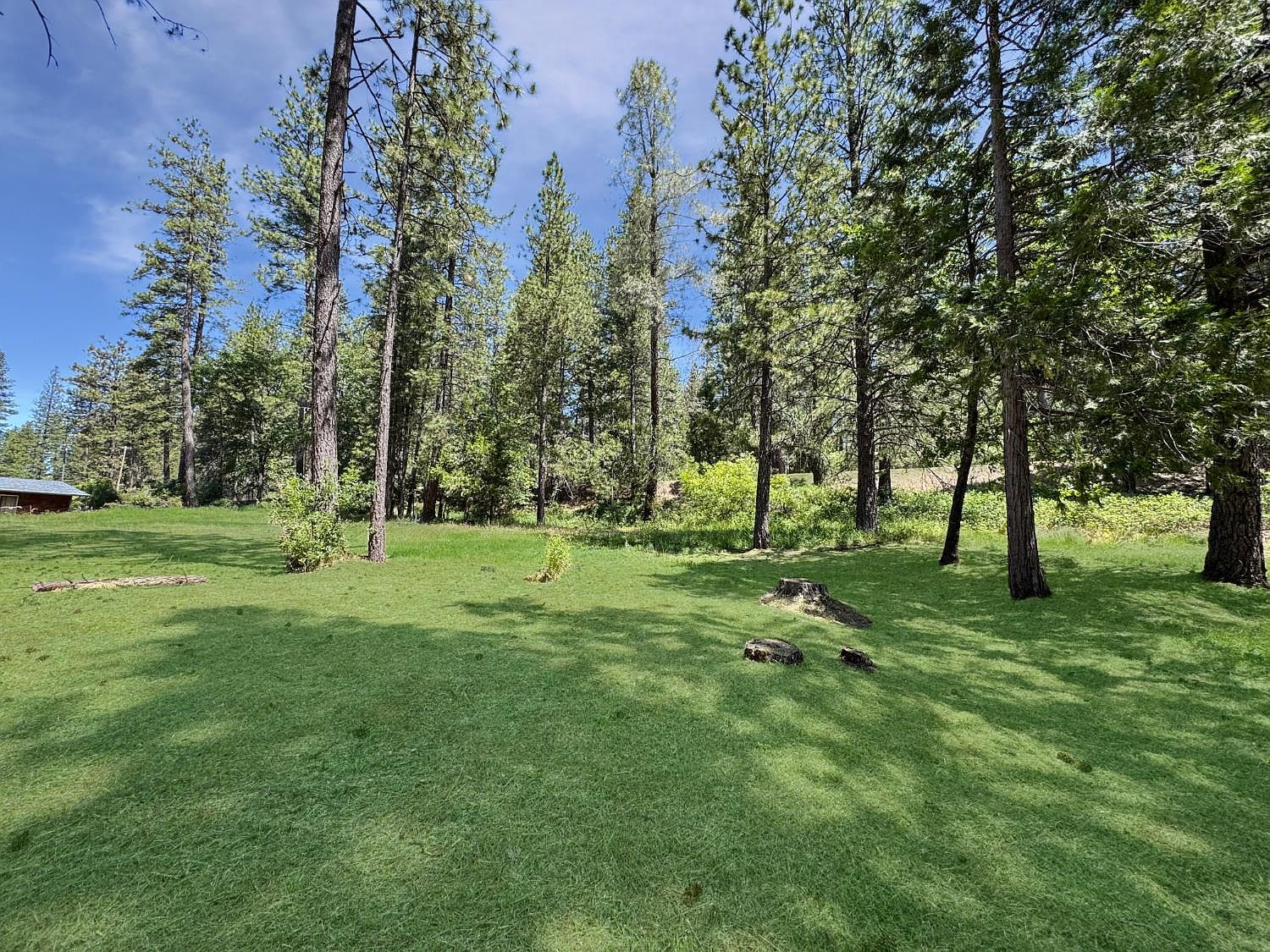 16970 Old Downieville Hwy Nevada City, CA 95959 - Thumbnail 5