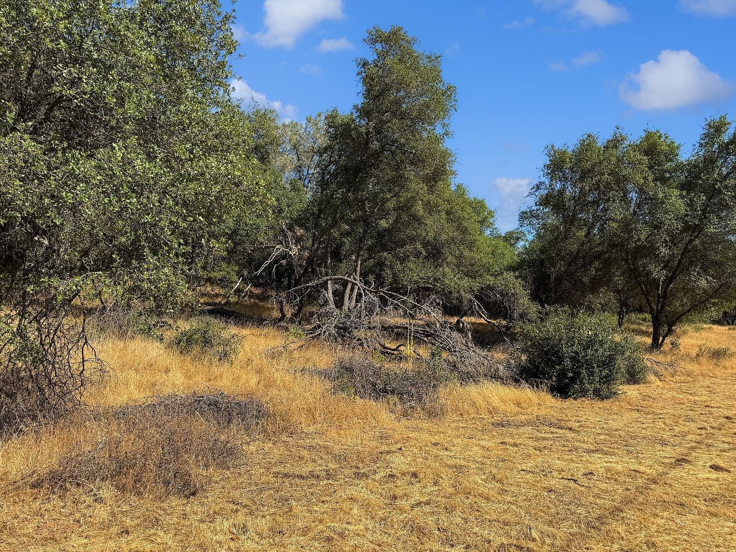 1001 Old Airport Rd Auburn, CA 95603 - Thumbnail 5