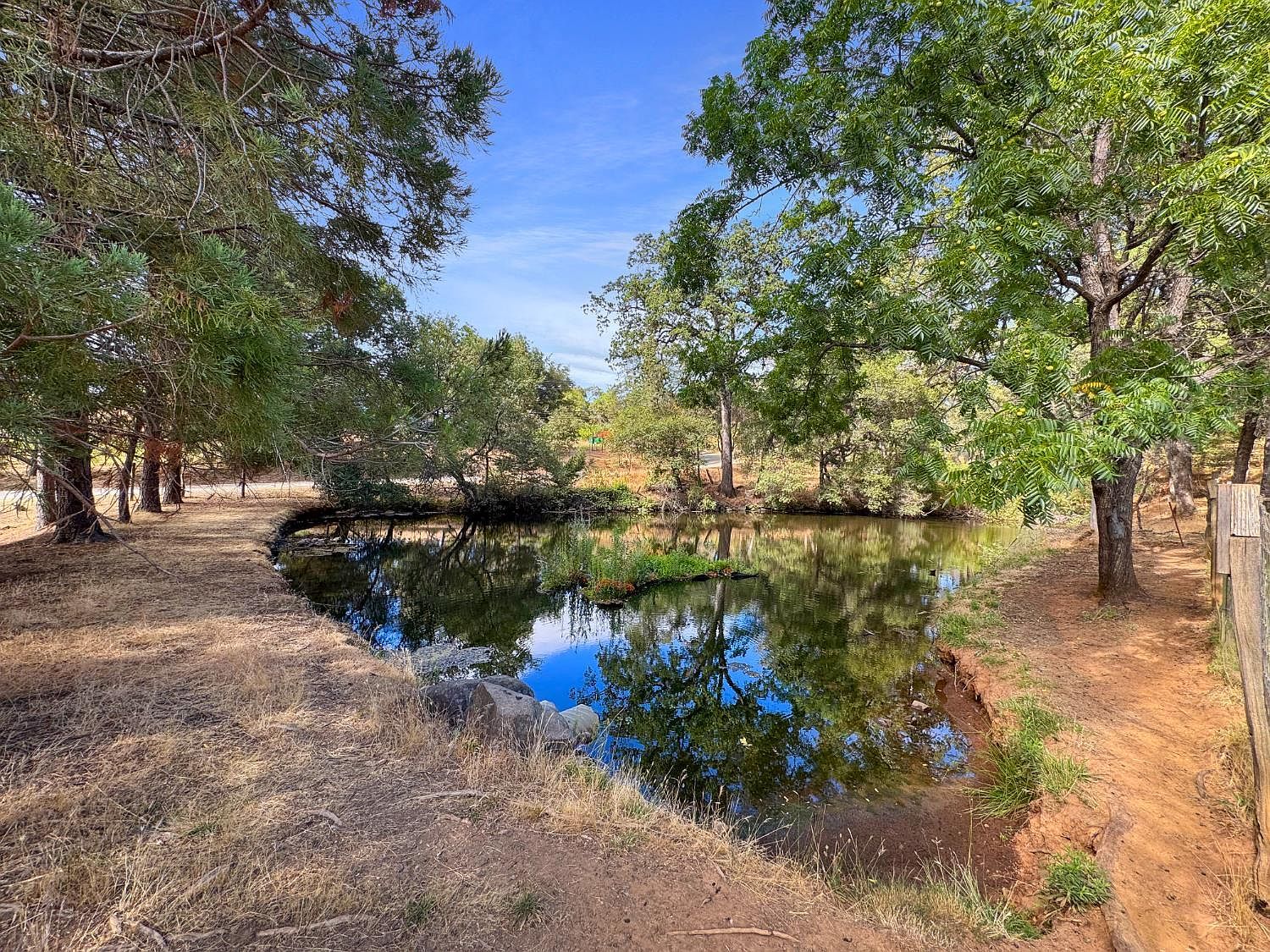 16281 Hillaire Rd Rough And Ready, CA 95975 - Thumbnail 5