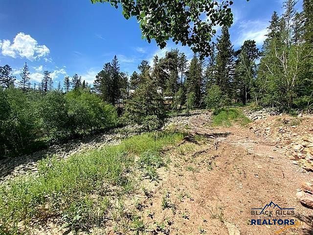 LOT 25 Lot 25 Other Lead, SD 57754 - Thumbnail 5