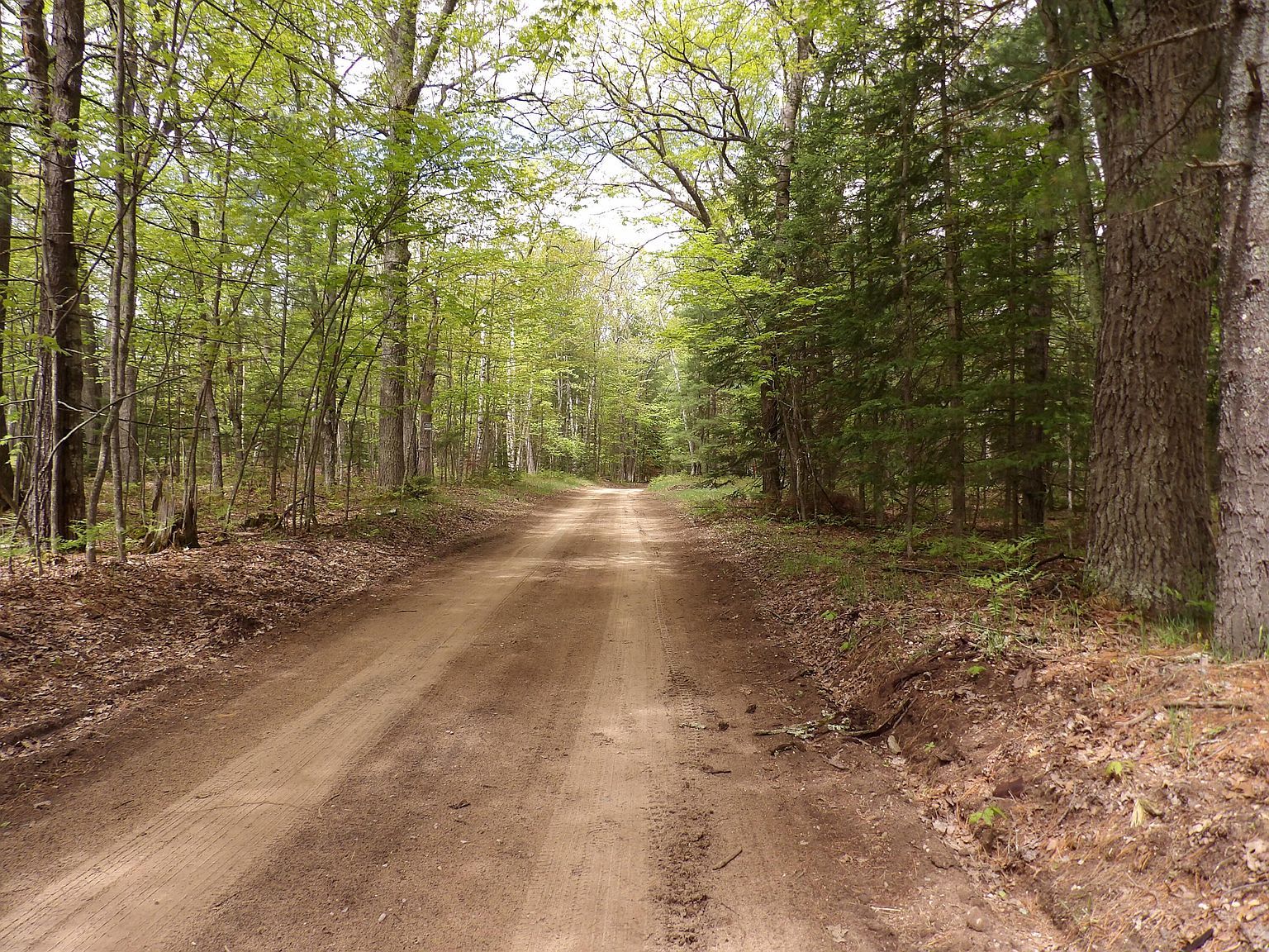 LOT 10 Club Ave Saint Helen, MI 48656 - Thumbnail 5