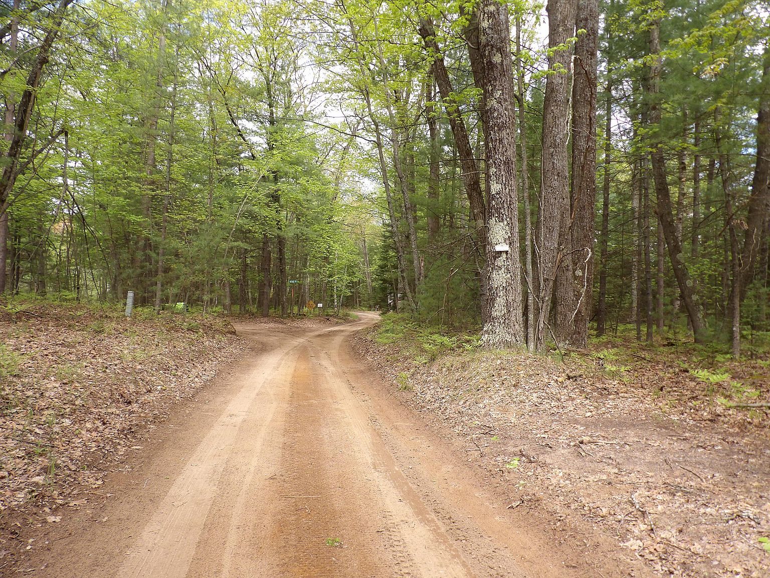 LOT 9 Club Ave Saint Helen, MI 48656 - Thumbnail 5