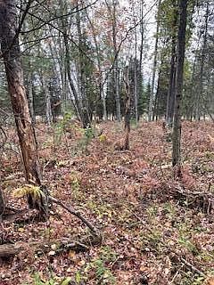 S Blue Springs Trl LOT 23 Falmouth, MI 49632 - Thumbnail 5