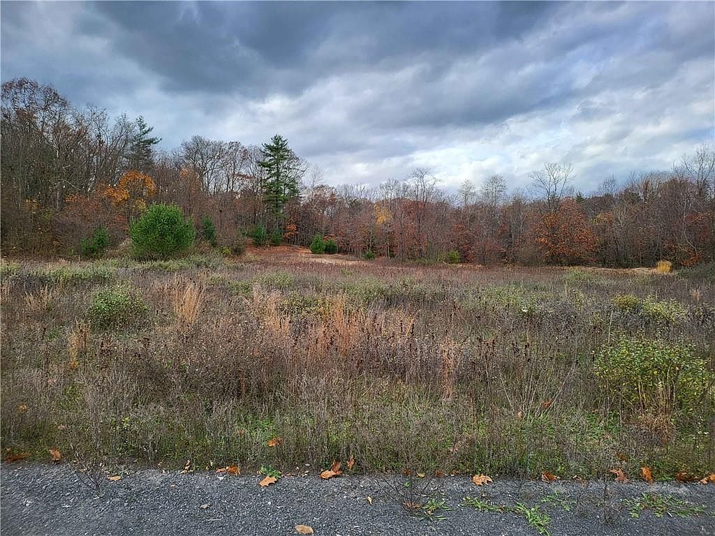 Ashley Dr LOT 5 Rosendale, NY 12472 - Thumbnail 5