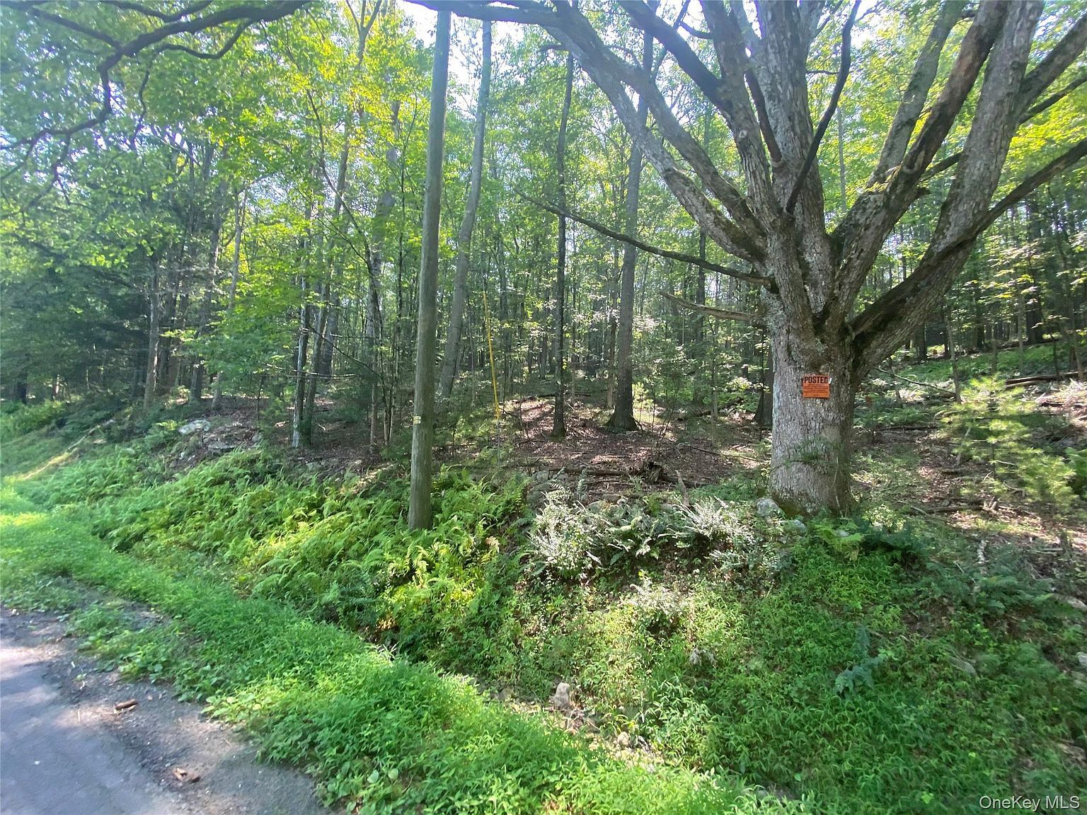 S Road Mamakating Wurtsboro, NY 12790  | Land/Lot