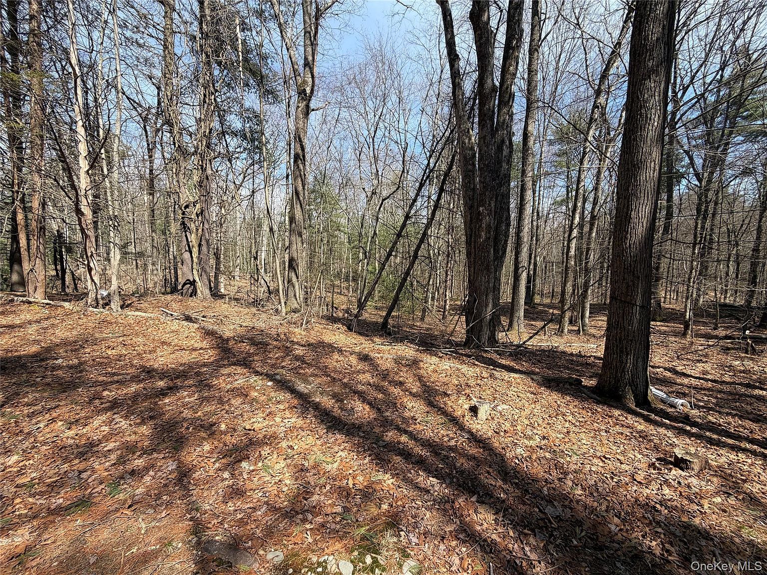 42 Yorkville Park Rd Bloomingburg, NY 12721 - Thumbnail 5