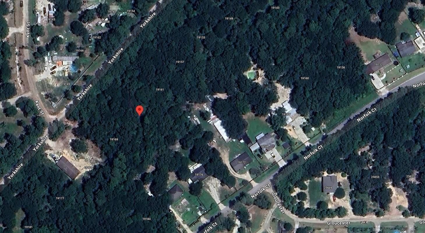 19165 & 19169 Yorkshire LOT 60-61, New Caney, TX, 77357 - Thumbnail 5