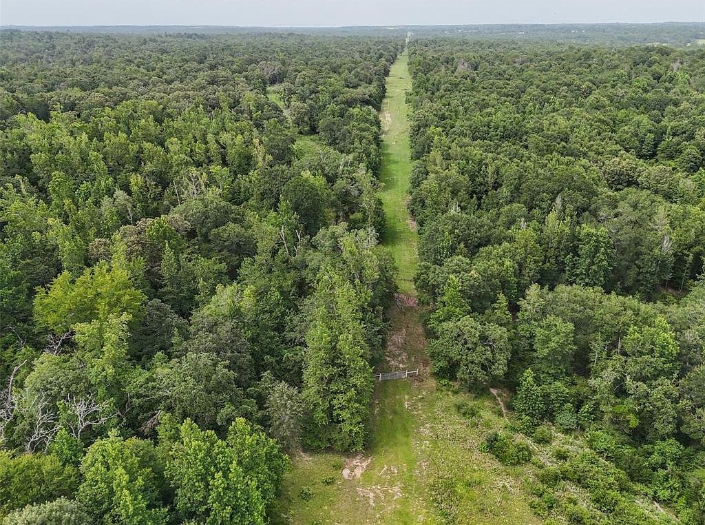 225 Private Road 2026 Buffalo, TX 75831 - Thumbnail 5