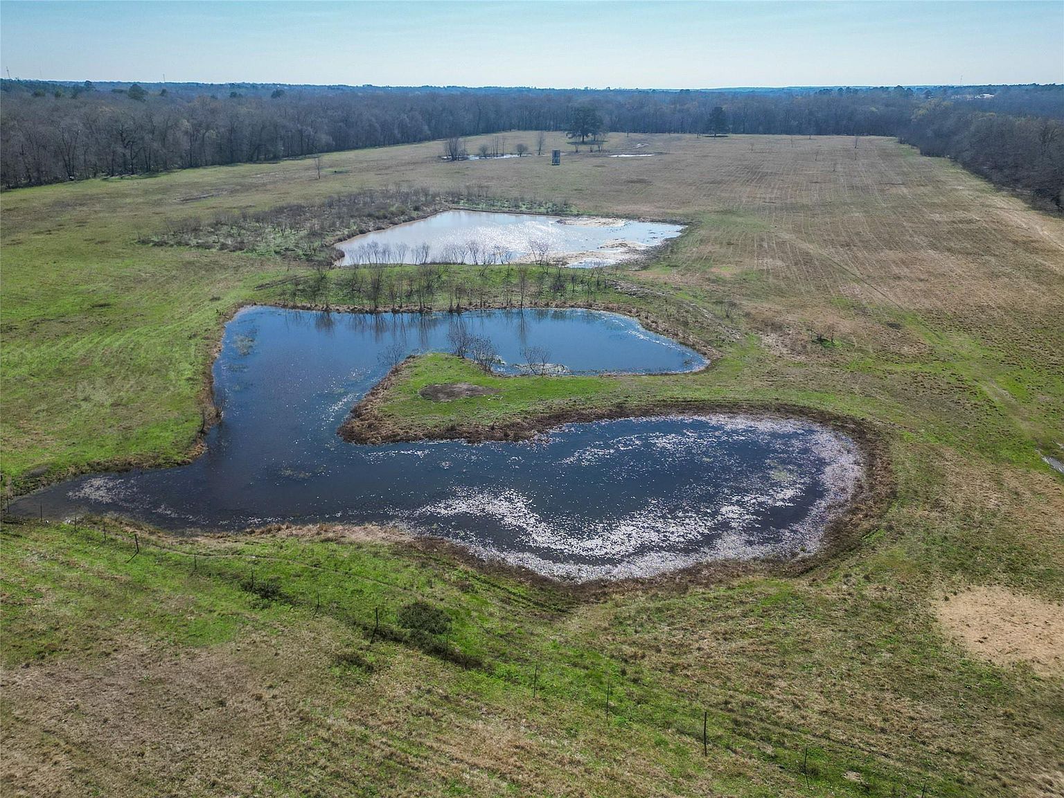 12039 Amberwood Dr Montgomery, TX 77356 - Thumbnail 5