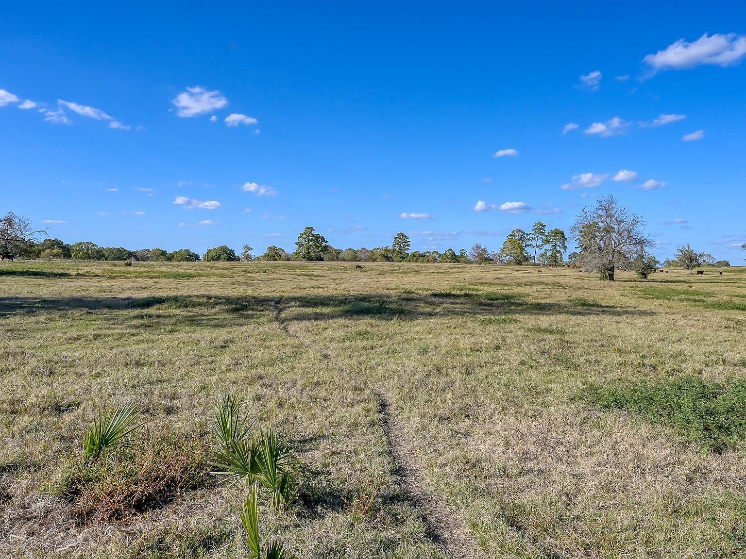 125 Spring Branch Rd Montgomery, TX 77316 - Thumbnail 5