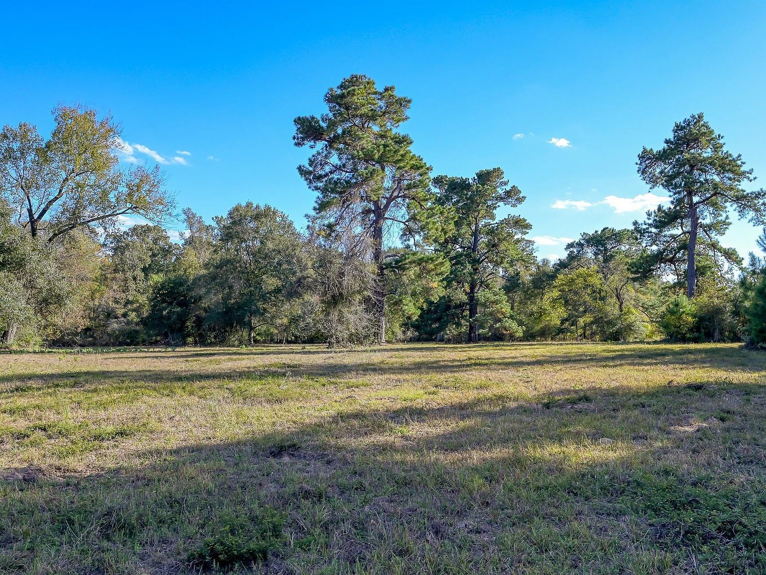 280 Spring Branch Rd Montgomery, TX 77316 - Thumbnail 5