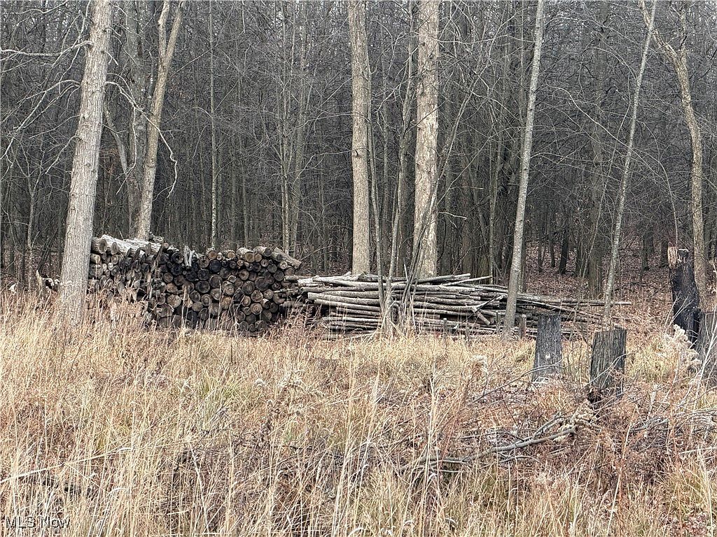 W Nevada Ave Sebring, OH 44672 - Thumbnail 5