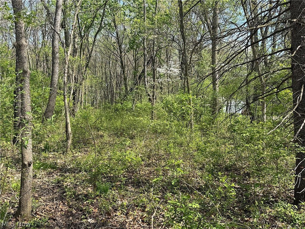 Village St SE Canton, OH 44707 - Thumbnail 5