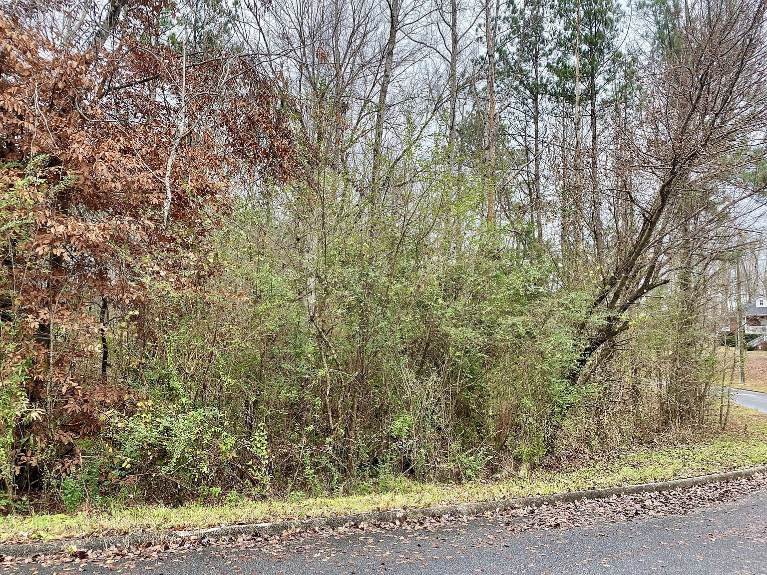 LOT 43 Althea Loop Alexander City, AL 35010 - Thumbnail 5