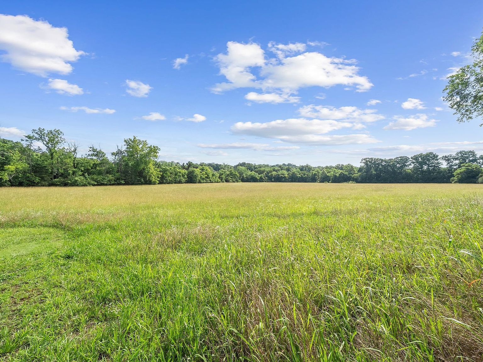 3155 W Division St Hermitage, TN 37076 - Thumbnail 5