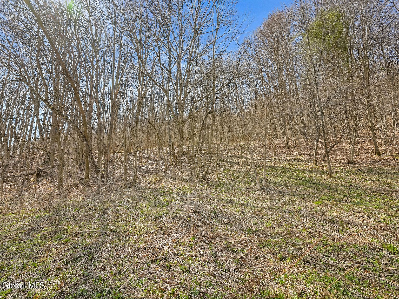 L9112 Lutheranville Rd E Worcester, NY 12197 - Thumbnail 5