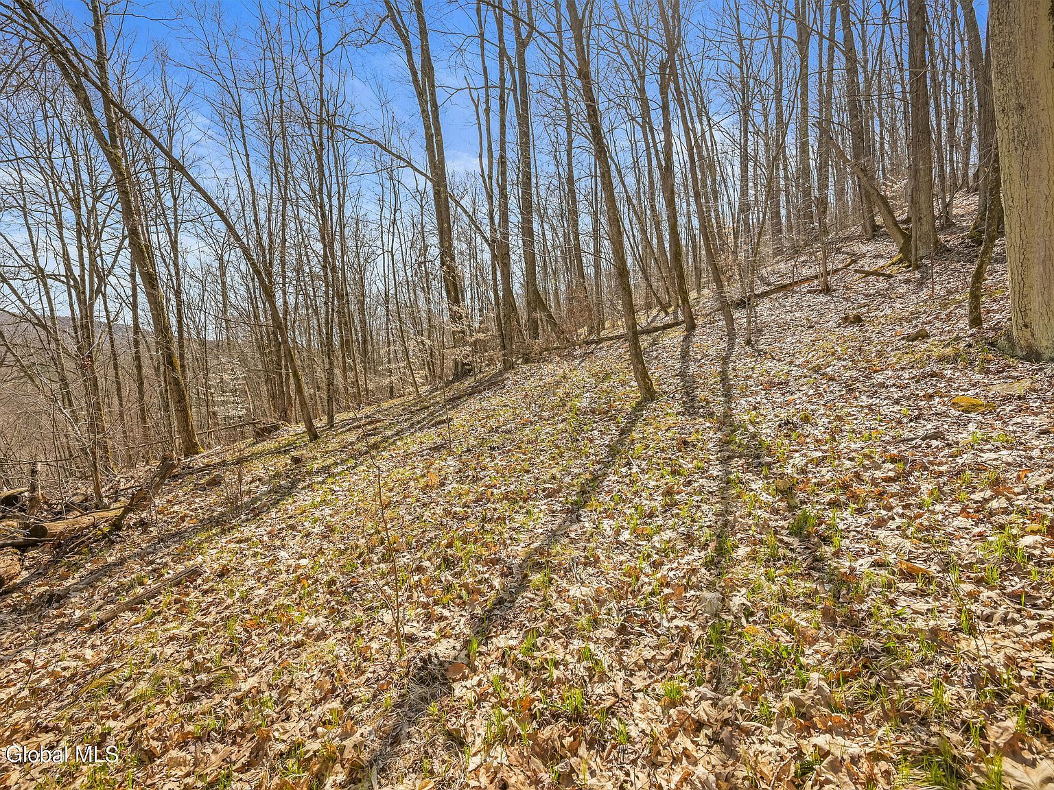 L9113 Lutheranville Rd E Worcester, NY 12197 - Thumbnail 5