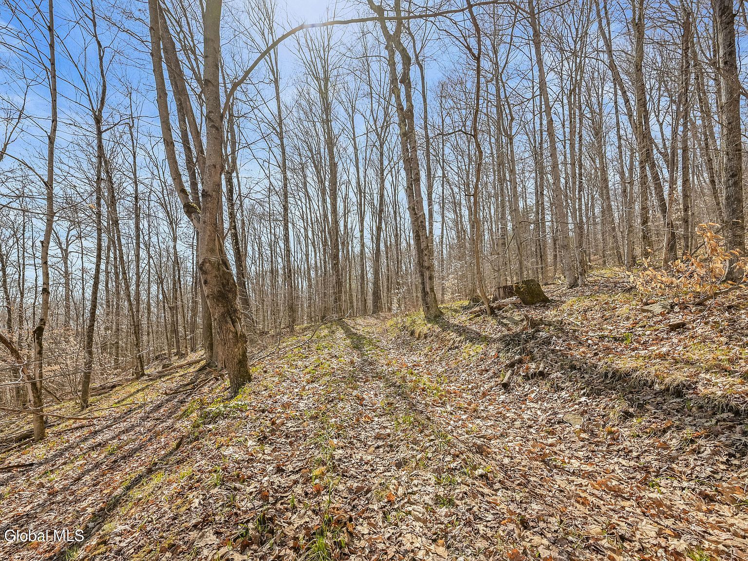 L9114 Lutheranville Rd E Worcester, NY 12197 - Thumbnail 5