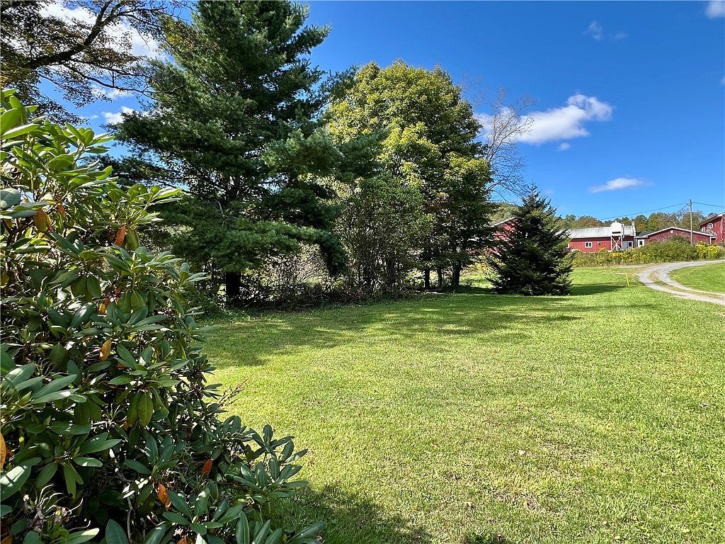 635 Charlotte Valley Rd Charlotteville, NY 12036 - Thumbnail 5